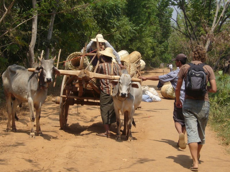 Travel - Myanmar - Inle Lake - Second Boat Trip - Walk to the Market